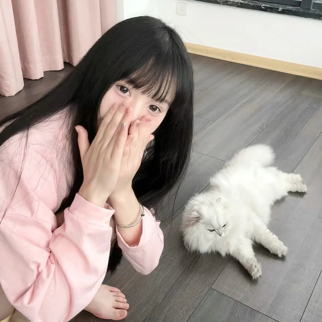 反叛的鲁路修 夺还的罗赛